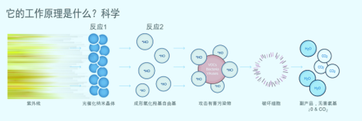 游泳池,SPA水療池,桑拿浴,蒸氣浴,汗蒸房,三溫暖