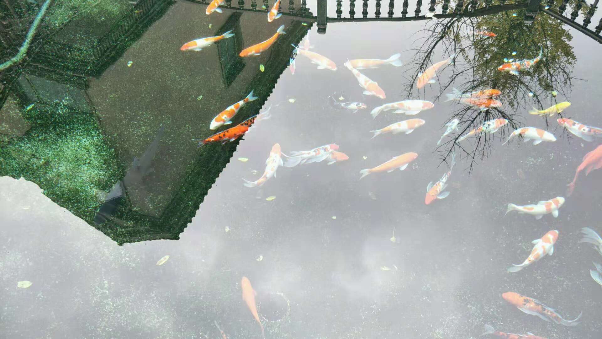 游泳池,SPA水療池,桑拿浴,蒸氣浴,汗蒸房,三溫暖